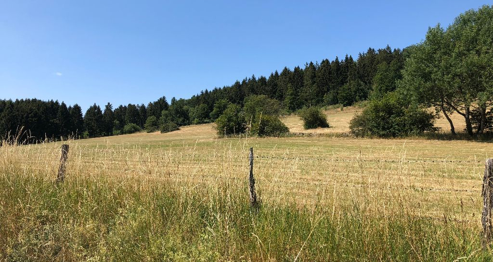 Kurztrip in den Harz